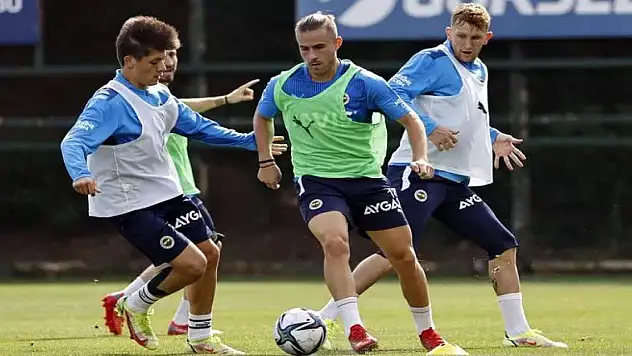 Hull City'de Shota Arveladze'den Pelkas açıklaması