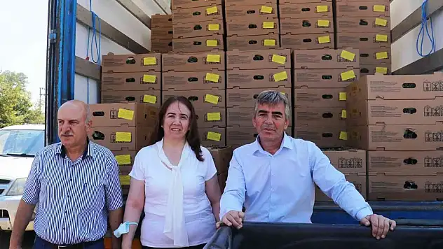 Samsun'da 687 bin kışlık sebze fidesi dağıtıldı