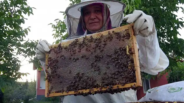 Yozgat'ta yağışlar bal üreticisinin yüzünü güldürdü