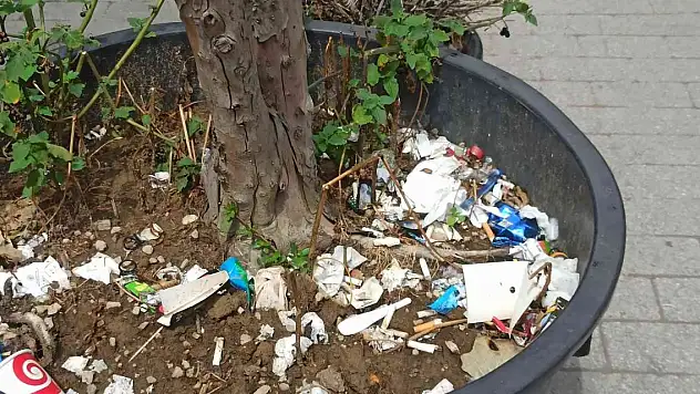 Duyarsız vatandaşlar bitki saksısını çöplük yaptı