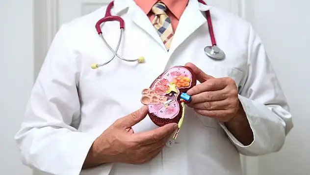 Bilim insanları donörden alınan böbreğin kan grubunu değiştirdi