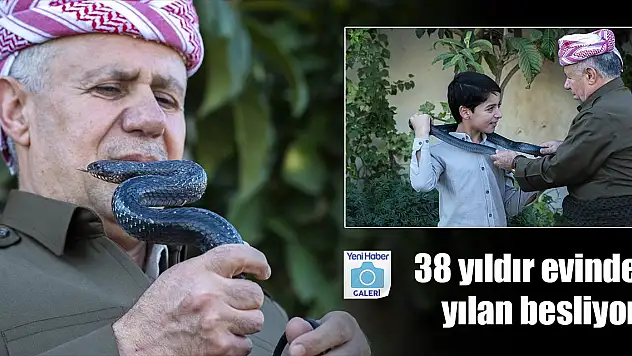 Yıllardır evinde ailesiyle 60 yılan besliyor! Sebebi ise...