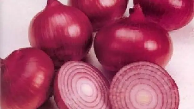 Erdek'te kırmızı soğan üretimi