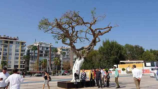 O ağaç yeşermeye başladı