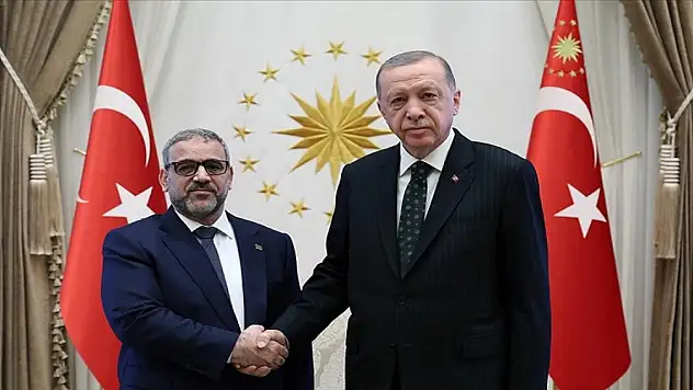 Cumhurbaşkanı Erdoğan, Mişri'yi kabul etti