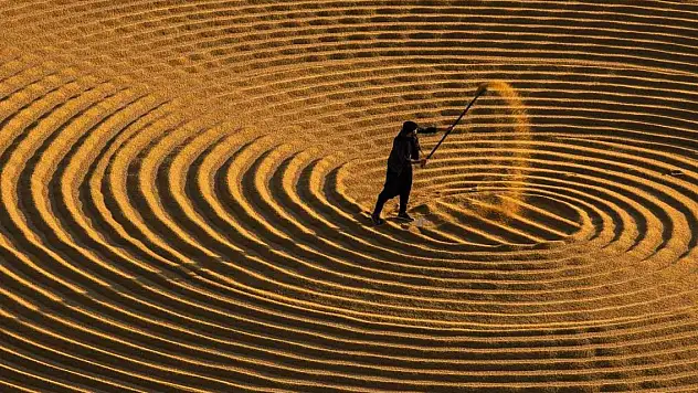 En güzel hasat mevsimi fotoğrafları aranıyor