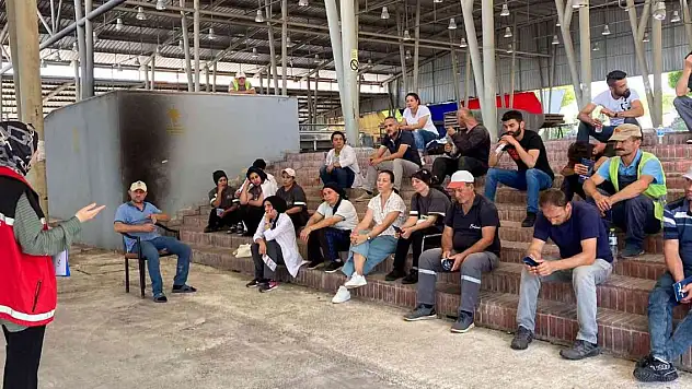 Kadına şiddetle mücadele için seferber oldular