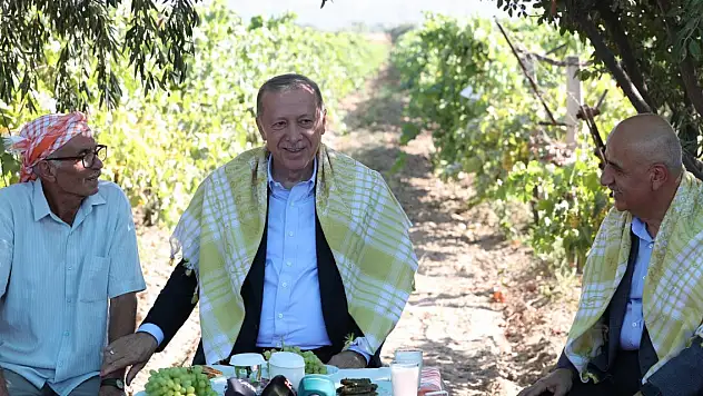 Cumhurbaşkanı Erdoğan üzüm hasadı yaptı