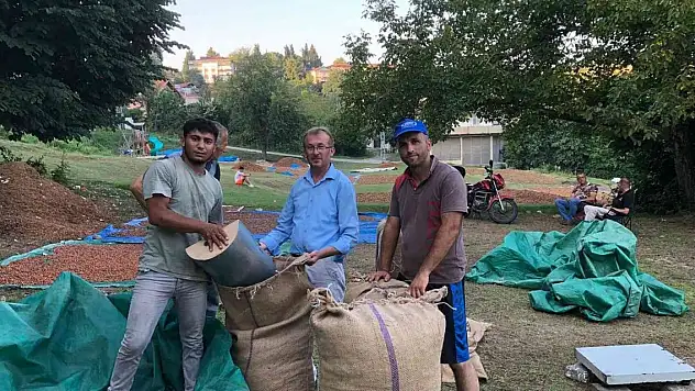 Serbest piyasada fındık 45 lira