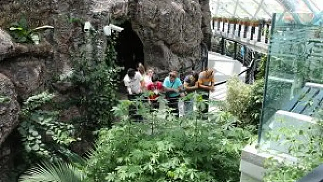 Tropikal Kelebek Bahçesi'ne ziyaretçi akını