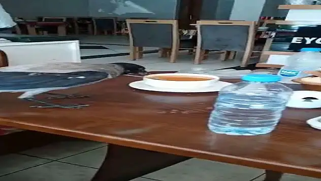 Acıkan karga restoranda karnını doyurdu