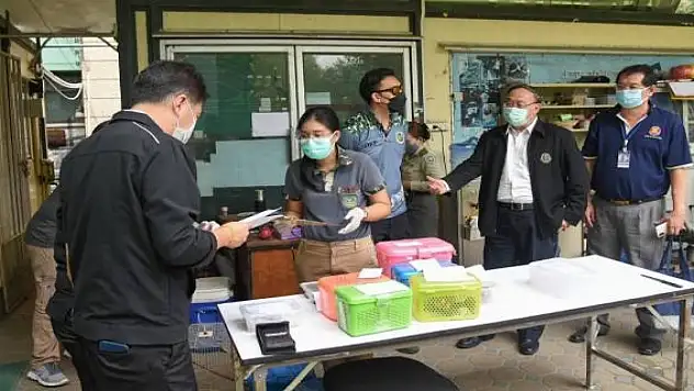 Tayland'dan Hindistan'a giden yolcunun bavulundan 17 adet canlı hayvan çıktı