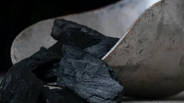 Avrupa ülkeleri kış aylarında daha fazla kömür kullanacak