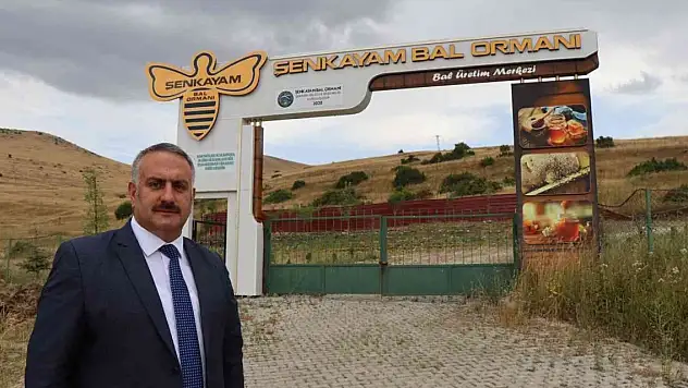 Cumhurbaşkanı için doğal 'Şenkayam Balı' ürettiler