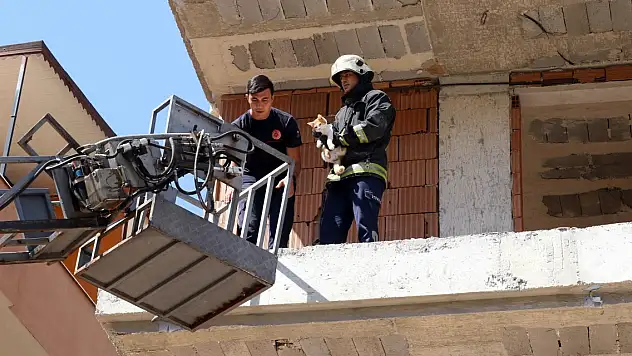 İnşaatta mahsur kalan kediyi itfaiye kurtardı