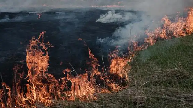 Rusya'da orman yangını 19 bin 280 hektarlık alana yayıldı