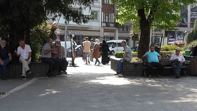 Konser yağmurdan değil aşırı sıcaklardan ertelendi