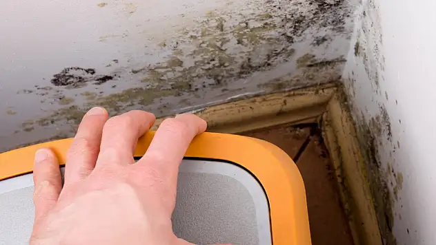 Küf sporlarına dikkat!