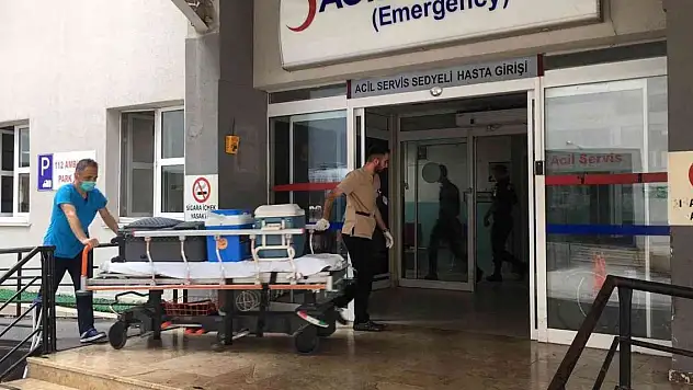 Bağışlanan organlarıyla 3 hastaya umut oldu