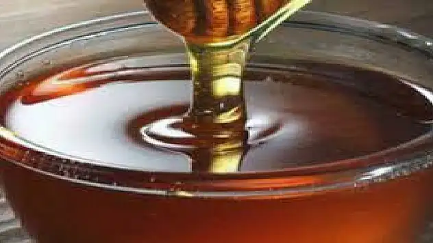 Çam balı ihracatı yüzde 76 arttı