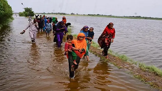 Pakistan, domates ve soğan ithal edecek