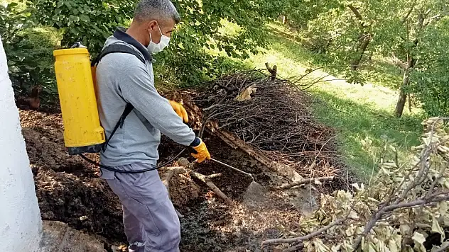 Haşereyle mücadele çalışmaları sürüyor