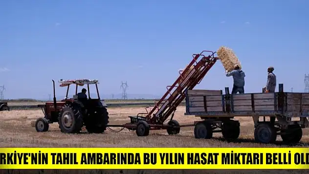 Türkiye'nin tahıl ambarı Konya Ovası'nda bu yılın hasat miktarı belli oldu