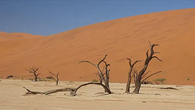 Afrika'da iklim değişikliğinden iklim felaketine doğru gidiliyor