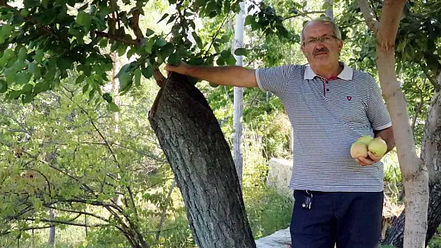 Arazisinden geçen enerji hattı için başlattığı hukuk mücadelesini AYM kararıyla kazandı