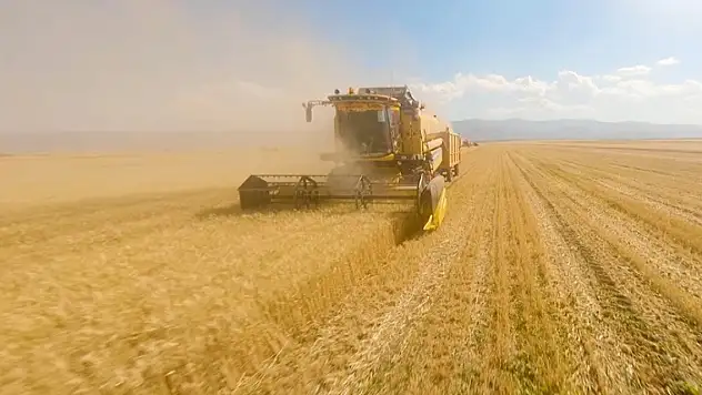 Bazı illerde TMO'nun buğday ve arpa alım primi desteğinden yararlanma süresi uzatıldı