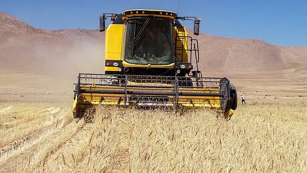 Hububat ihracatında yüzde 28'lik artış