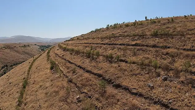 Iğdır dağları erozyona karşı badem ağaçlarıyla korunacak