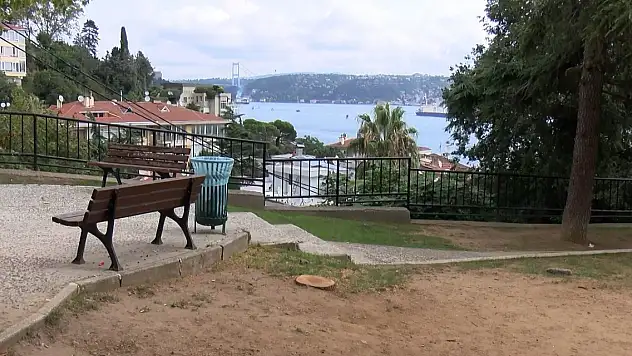 Beşiktaş Ayazma Parkı'nda tartışmalı ağaç kesimi