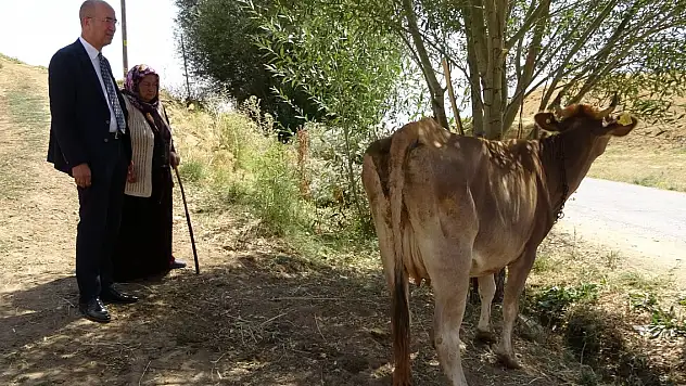 İneği için hüngür hüngür ağlayan anneye Ankara'dan sürpriz hediye
