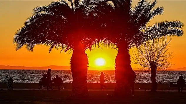 Küresel ısınma kalp sağlığını olumsuz etkiliyor