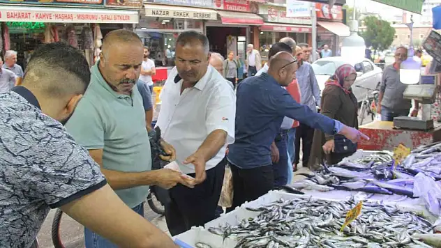 Havalar serinledi, palamut kendini gösterdi