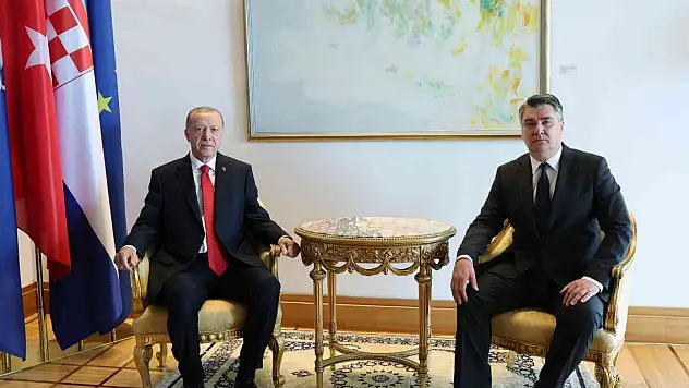 Erdoğan, Hırvatistanlı mevkidaşı Milanoviç ile görüştü