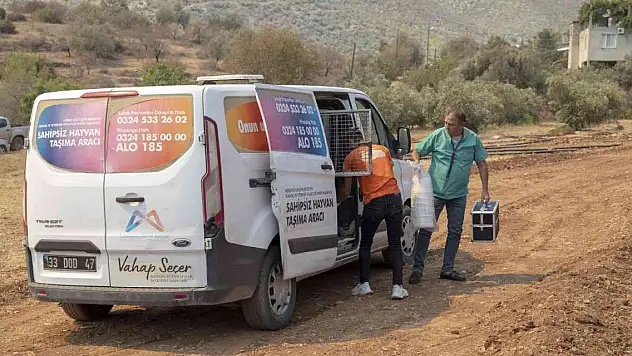 Yangın bölgesindeki hayvanlar için mama ve su bırakıldı