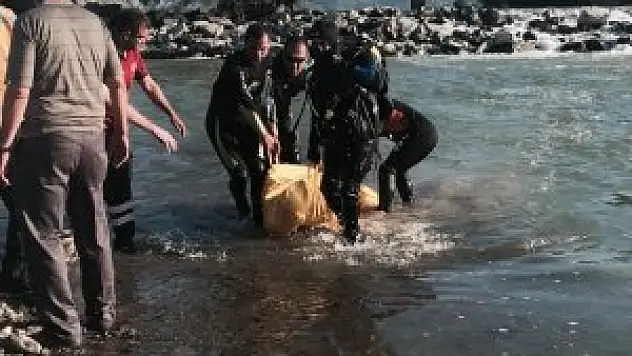 Zonguldak'ta ırmağa giren kişi boğuldu