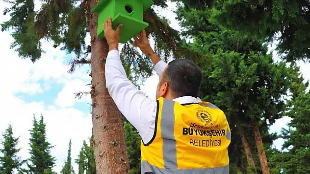 Atık ahşaplar kuşlara yuva oldu