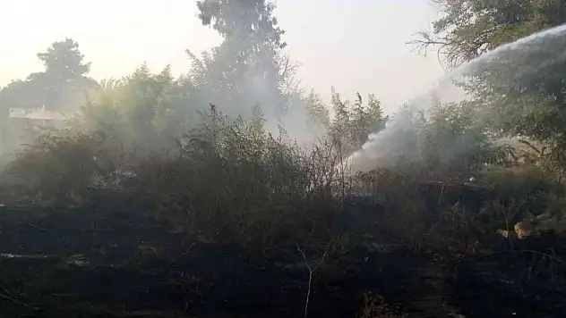 Yangın evlere ulaşmadan söndürüldü