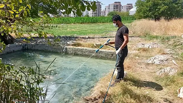 İlaçlama çalışmaları devam ediyor