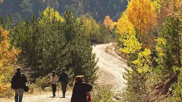 Ormanlara giriş yasağı yarın kalkıyor