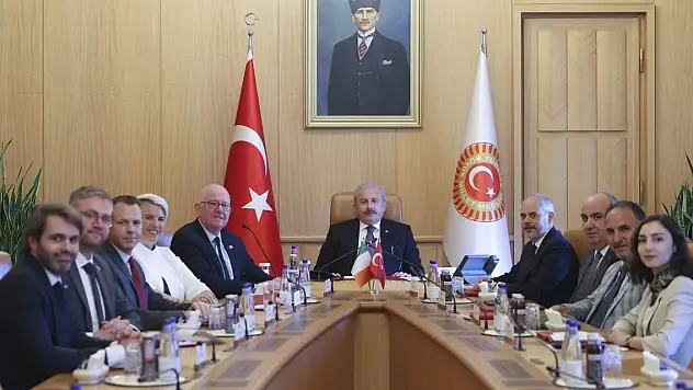 Şentop, İrlanda Parlamentosu Dışişleri ve Savunma Ortak Komitesi Başkanı Flanagan'ı kabul etti