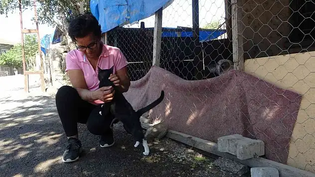 Tüm gelirini sokak hayvanlarına harcıyor