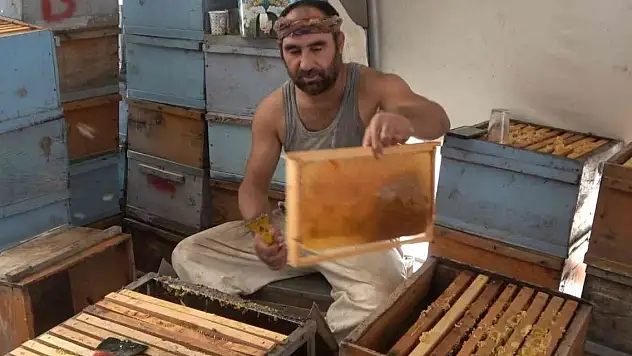 630 ton bal hasadı bekleniyor