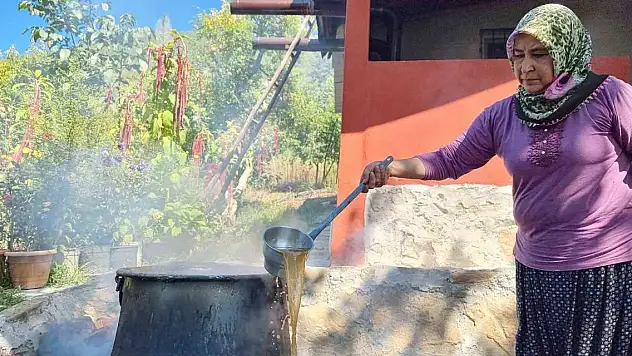 Üzümün meşakkatli pekmez yolculuğu başladı