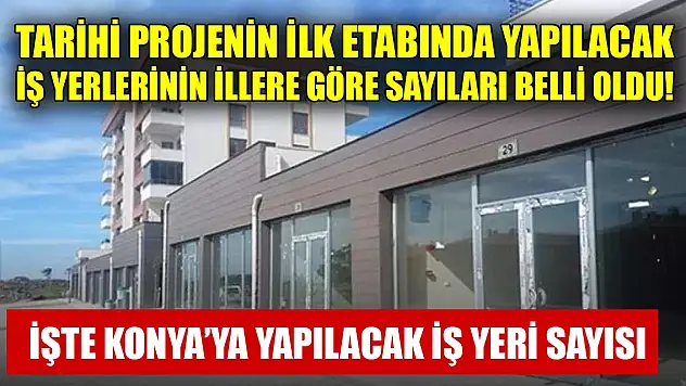 Tarihi projenin ilk etabında yapılacak iş yerlerinin illere göre sayıları belli oldu! İşte Konya'da yapılacak iş yeri sayısı