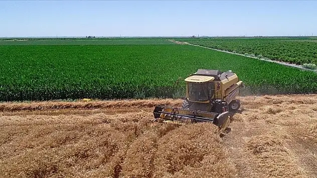 Tarımsal faaliyetlerde elektrik bedelleri için kredi sağlanacak