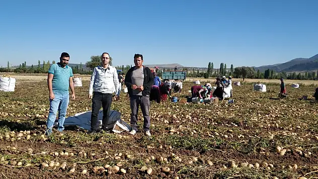 Beyşehir'de cipslik patates hasat mesaisi başladı